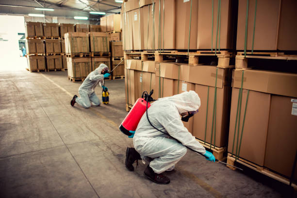 Best Local Pest Control Services  in Sunray, TX