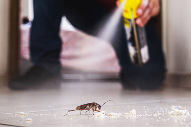 Best Wildlife Control Services  in Sunray, TX