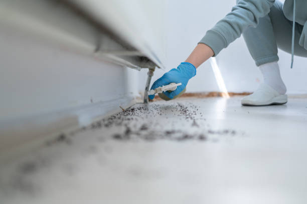 Best Best Pest Control Companies  in Sunray, TX